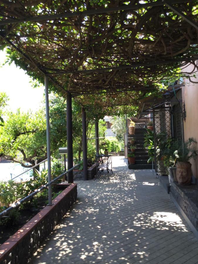 Villa Con Piscina 马斯卡卢恰 外观 照片