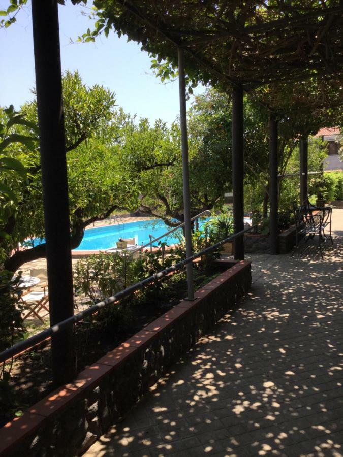 Villa Con Piscina 马斯卡卢恰 外观 照片